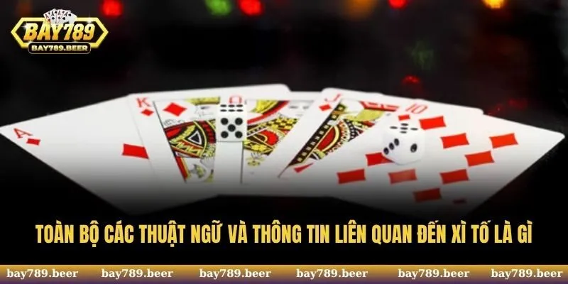 Toàn bộ các thuật ngữ và thông tin liên quan đến xì tố là gì